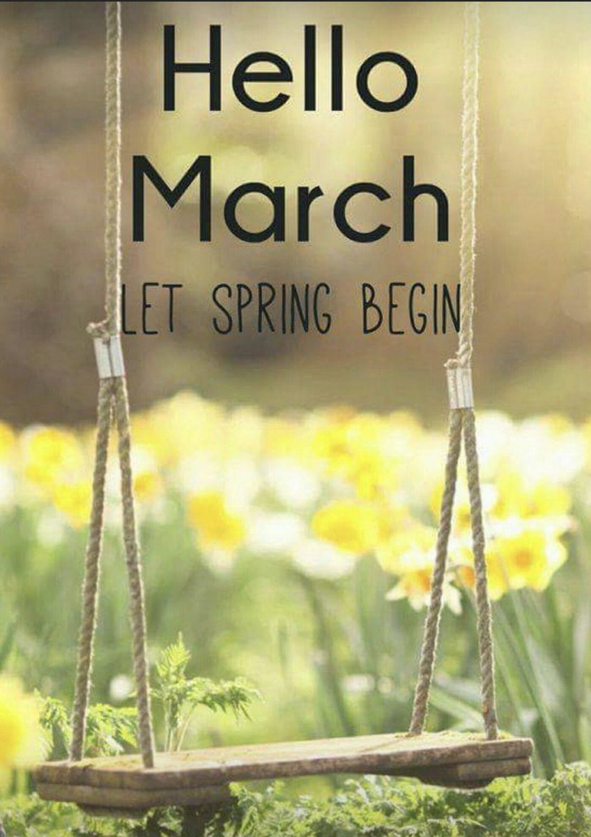 StockportPtExp's tweet photo. Magnificent March has started @StockportNHS, exciting plans for the whole month for the divisions to showcase their fantastic work 🙌 @NicolaFirth6 @helshow1 #letspringbegin https://t.co/qyX1kSrHpz