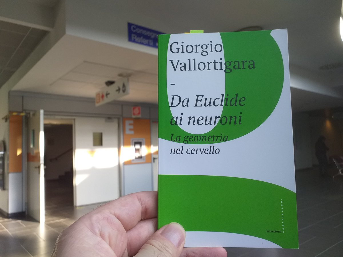 RobCorradiniLD's tweet photo. Mentre aspetto in ospedale (nulla di grave), inganno il tempo leggendo un piccolo in formato, ma grande per il mondo che mi sta aprendo, libro di .@gVallortigara.
Ora voglio saperne di piú sulle #gridcells, #speedcells e #bordercells! https://t.co/idlFyRc8Hs