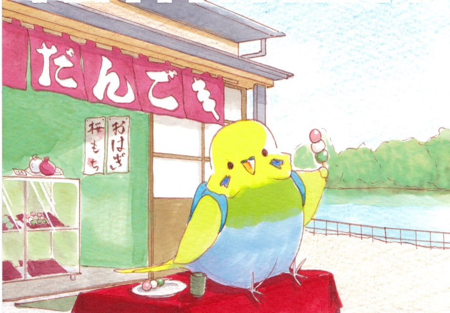 インコのりんちゃん君 Rin Chan Piyo1 Twitter