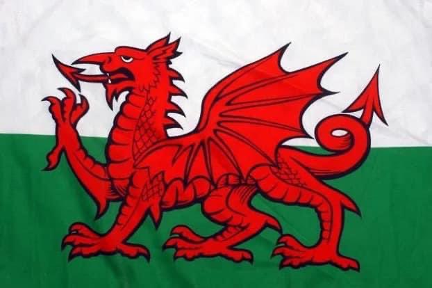 Dydd Gŵyl Dewi Hapus! To all our Welsh colleagues in RAFAC.