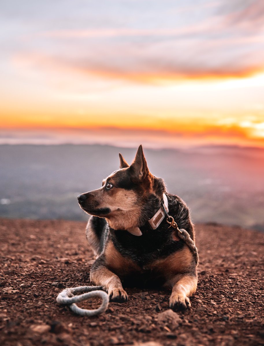 Above the clouds ☁️