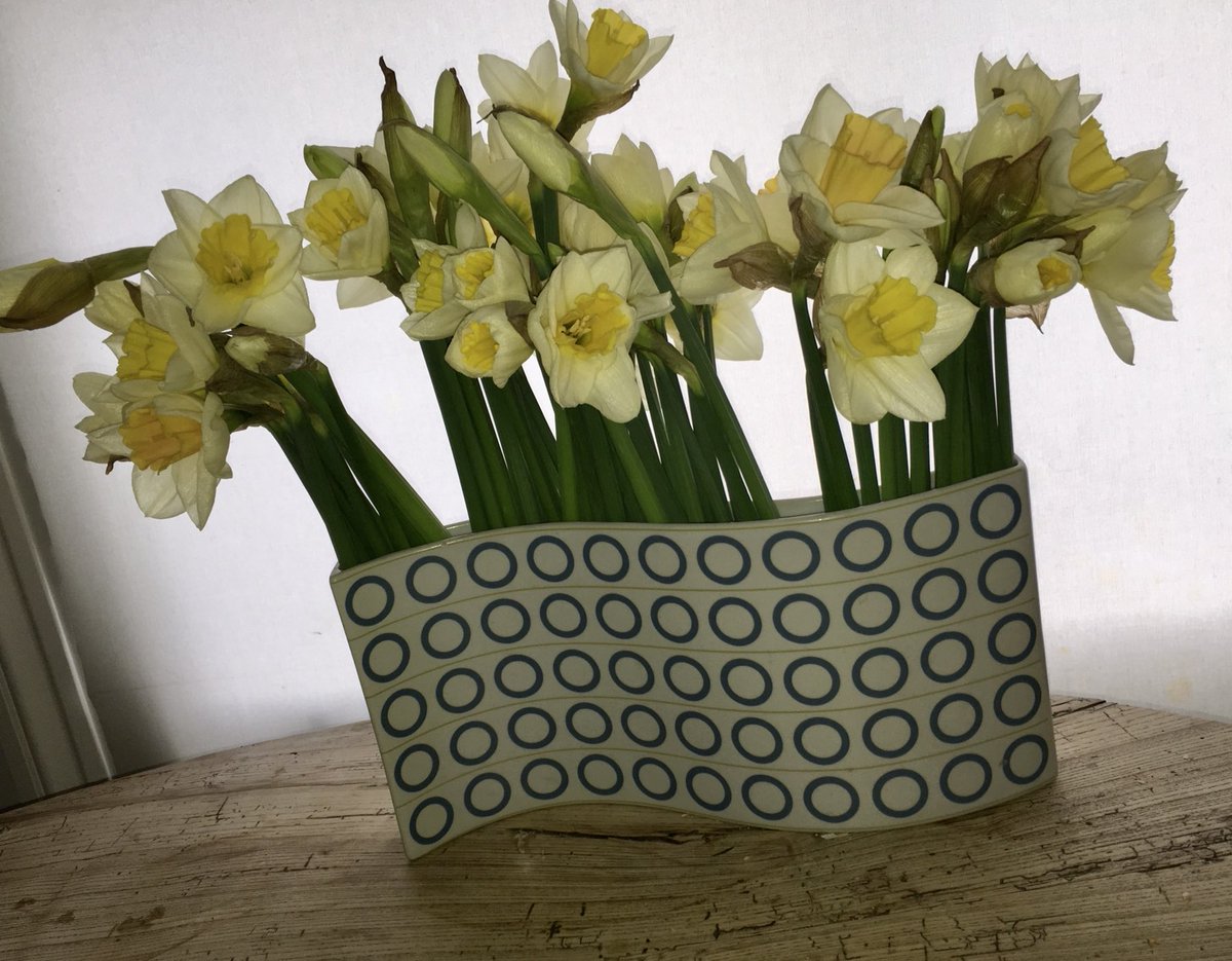 Happy St David’s Day everyone! #daffodils #Cymru <a href="/visitwales/">Visit Wales 🏴󠁧󠁢󠁷󠁬󠁳󠁿</a>