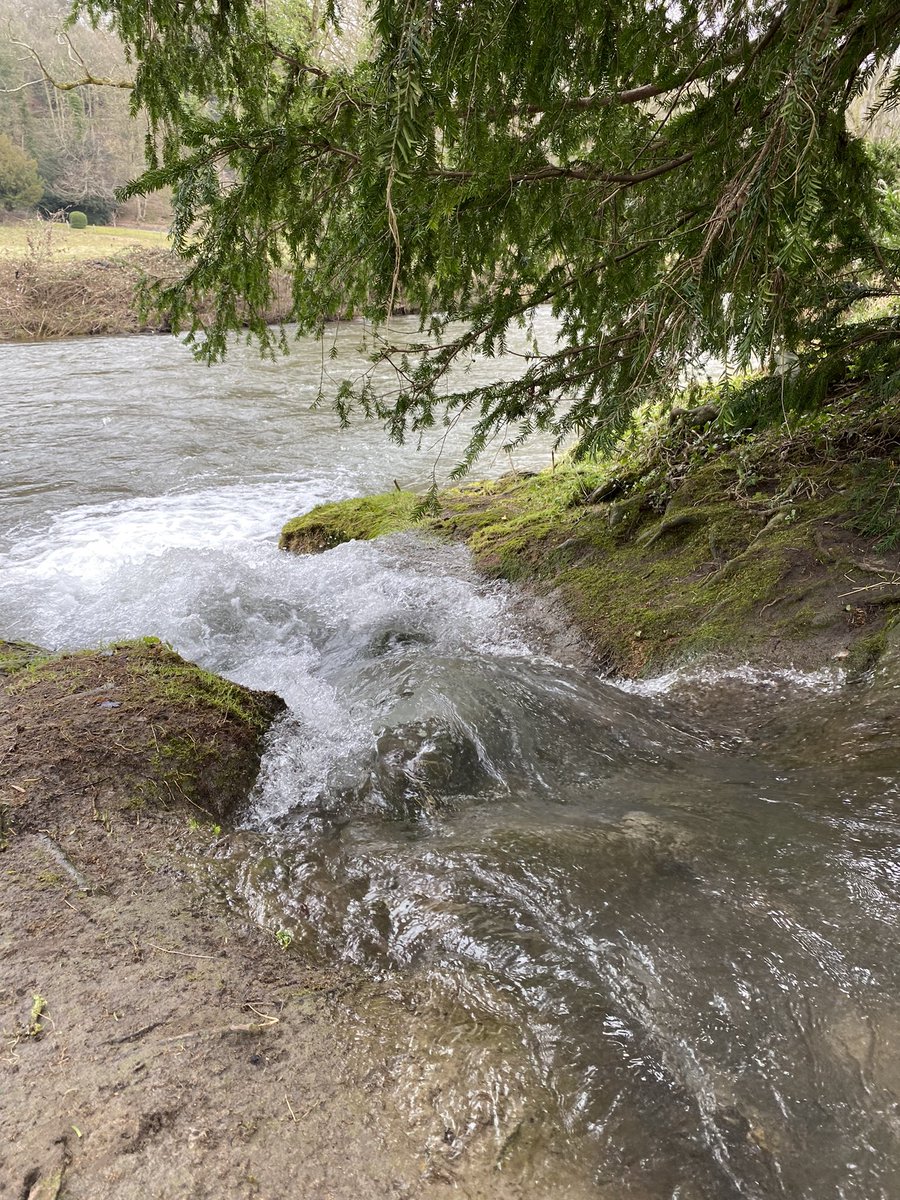 TConnectionSp's tweet image. We listened to peaceful gentle sounds by the river, mused of childhood memories and looked forward to #spring 🌸 🌺 🌼   @CromfordMills @OTherapistMH @DDCVS #stayingintouch #NaturePhotography #nature #Wellbeing
