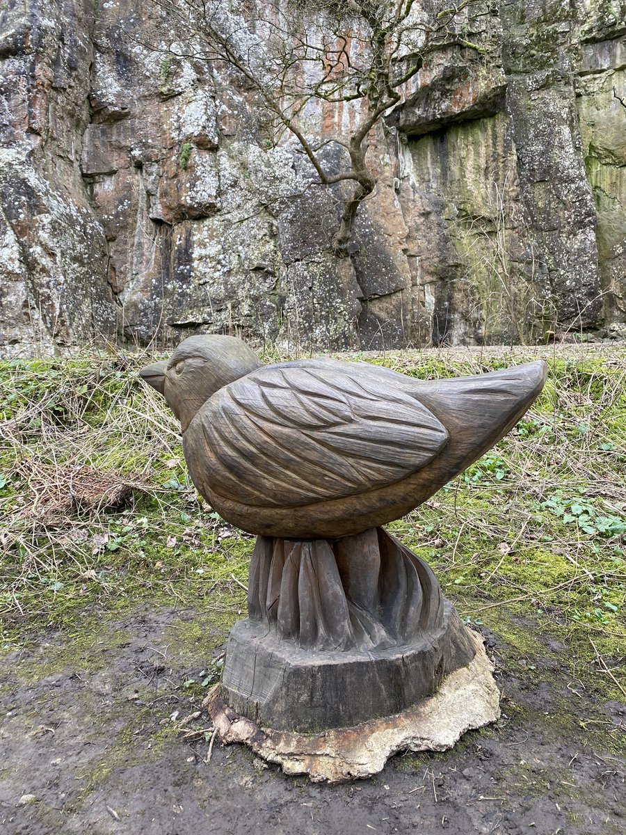 TConnectionSp's tweet image. We listened to peaceful gentle sounds by the river, mused of childhood memories and looked forward to #spring 🌸 🌺 🌼   @CromfordMills @OTherapistMH @DDCVS #stayingintouch #NaturePhotography #nature #Wellbeing