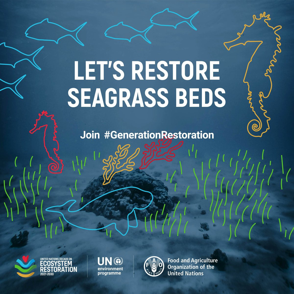 #WorldSeagrassDay
⚠️ Every 30 minutes, we lose a football field worth of seagrass. We cannot afford this loss.

Learn how communities can restore seagrass meadows for #ClimateAction &amp; protection of marine environment &amp; species: bit.ly/3srWPpj
#GenerationRestoration