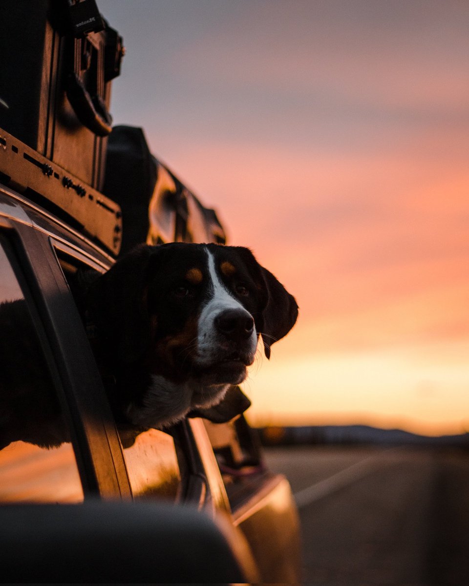 Bärlis new name is now Barry. Pass it on