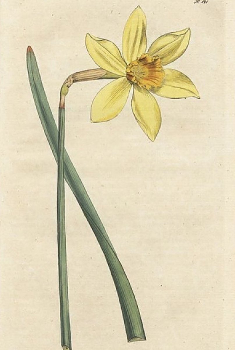 "You can cut all the flowers but you cannot keep Spring from coming."
✍️Pablo Neruda

#HelloMatch