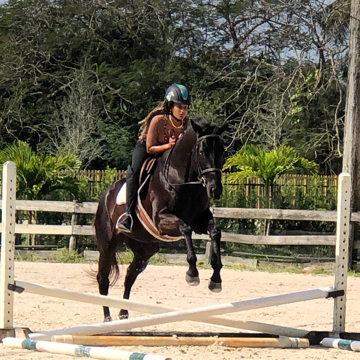 SANDFLOWER tweet media