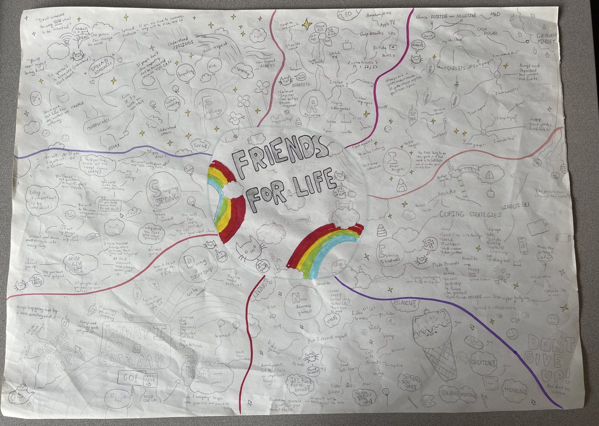 We finally finished our SEL projects and I’m so proud of my students and how they turned out! #friendsforlifeprogram #SEL