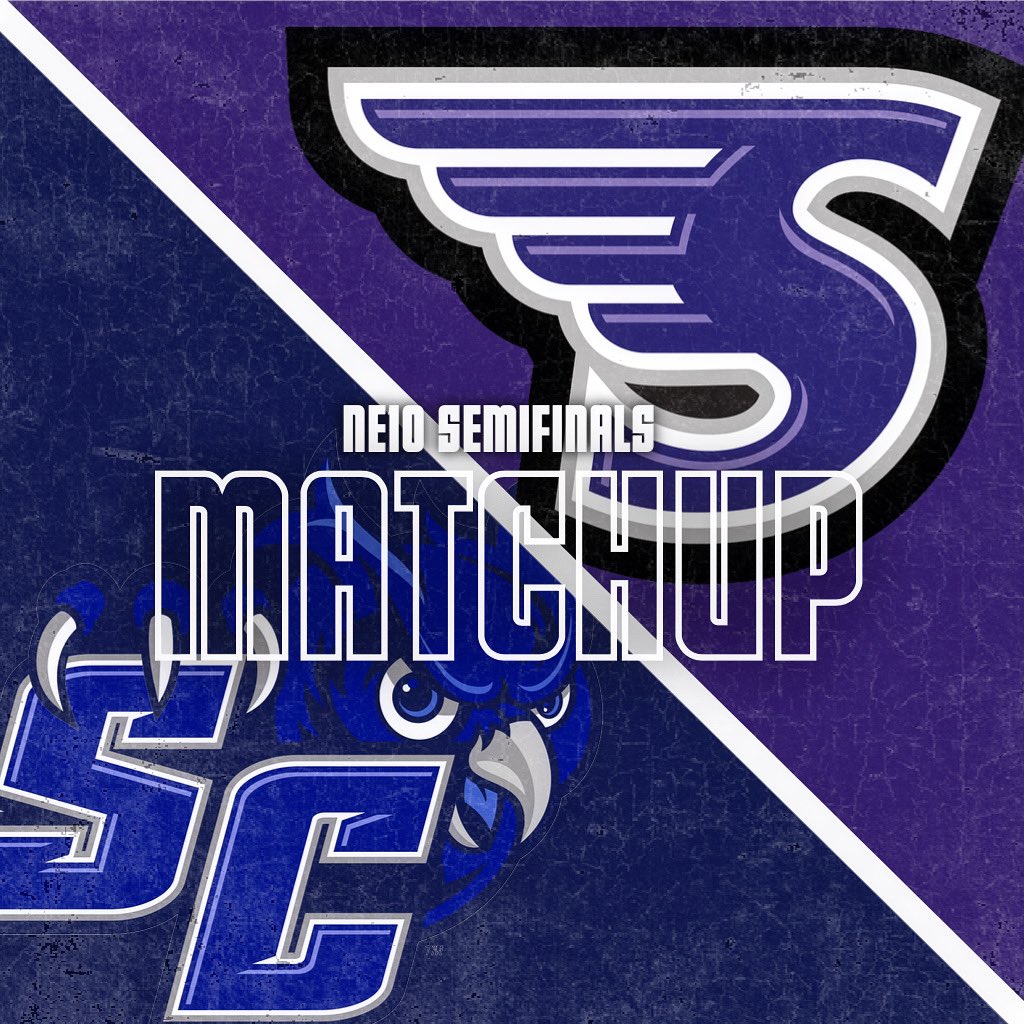 SCSU_WBB's tweet photo. ‘Battle of the Birds’ on deck. 

The No. 4 Southwest Division Owls are set to face the No. 3 Northeast Division Stonehill Skyhawks on Thursday, March 3rd in the NE10 Tournament Semifinals. 

#WingsUp https://t.co/U4Er5hj4iM