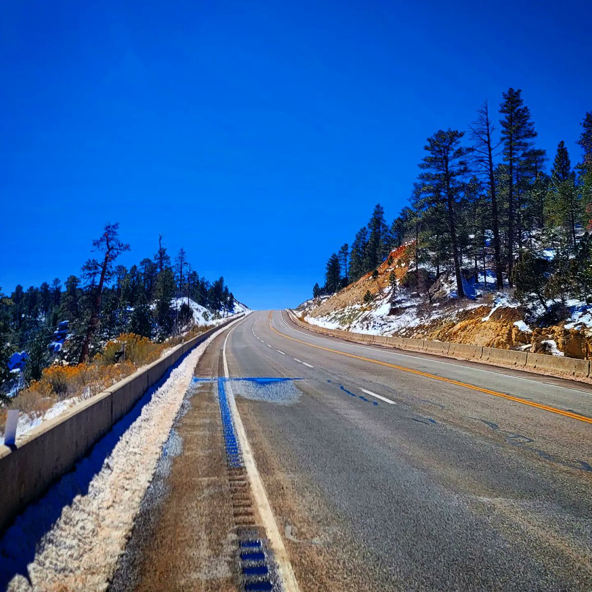 The Average Joe Runner tweet media