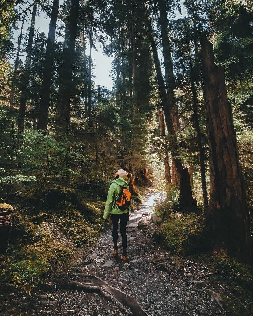 Magical forest adventures with @brandy___marie and @beav_wanders ✌️

#VisitPortAngeles #OlympicNationalPark instagr.am/p/CajAC9yLUsQ/