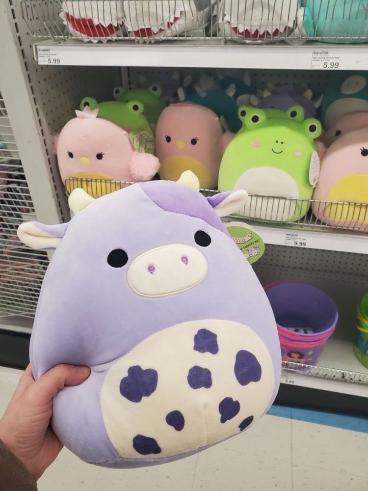 GataLoca7's tweet photo. I need this >.< https://t.co/XU2ucPGAdN