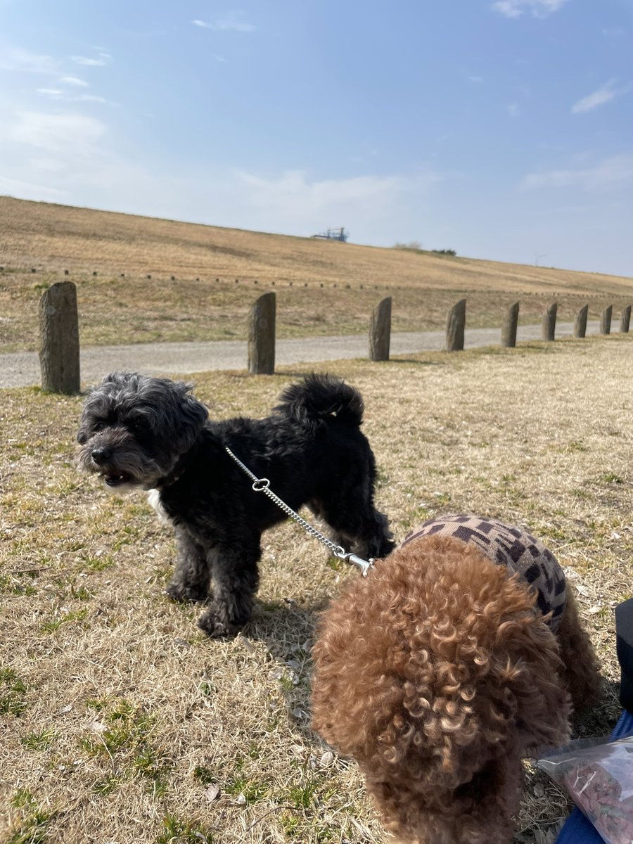 結子〔ゆいこ〕 (@yuiko_yyy) / Posts / X