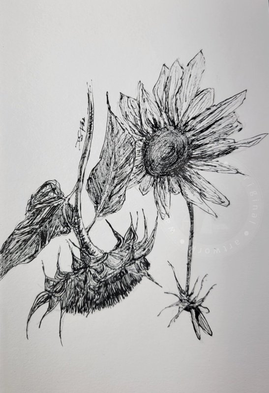 lgvd's tweet photo. Hope. #pen #Ukraine #SunflowersForPeace #sunflowers https://t.co/pIN5B3uU66