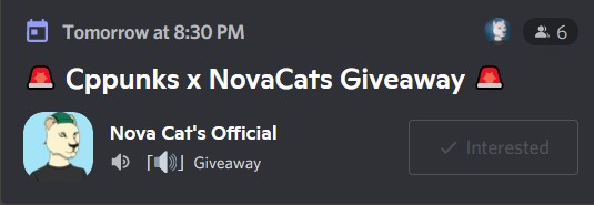 Nova Cats tweet media