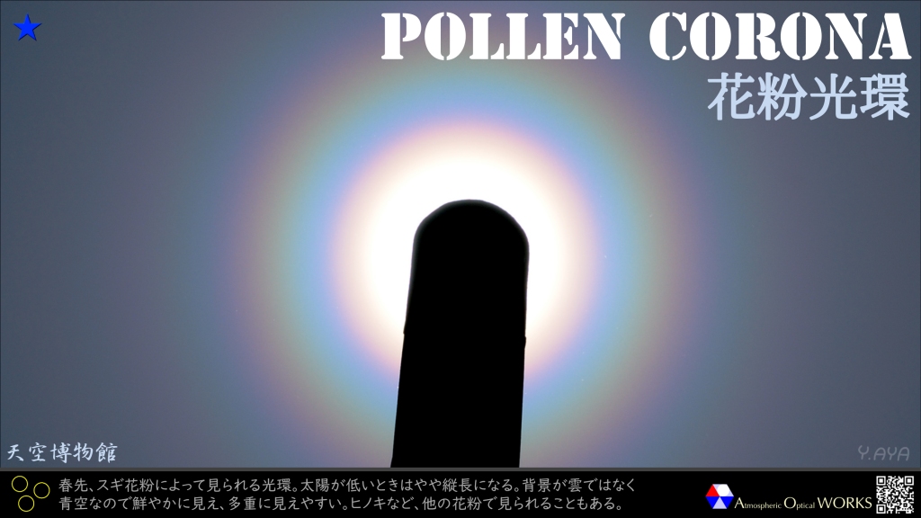 Fionaの小蜡笔 Fionainosaka Twitter