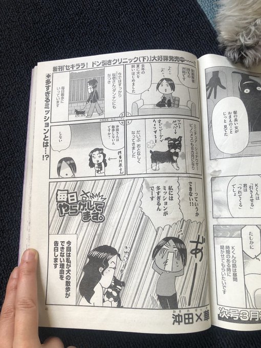 ぶんか社チーム4コマさん の最近のツイート 11 Whotwi グラフィカルtwitter分析 ぶんか社チーム4コマさん の最近のツイート 11 Whotwi グラフィカルtwitter分析