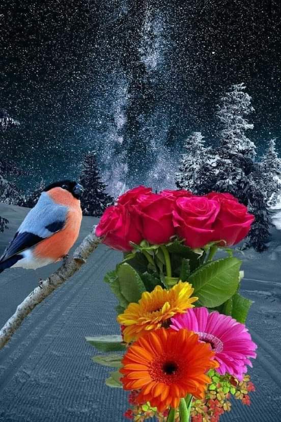 JrahKfaya's tweet photo. مع رائح�� الصباح 
يولد للحياه آمل فقط ابتسم مع بدايه كل صباح https://t.co/3Kes4mVR7l