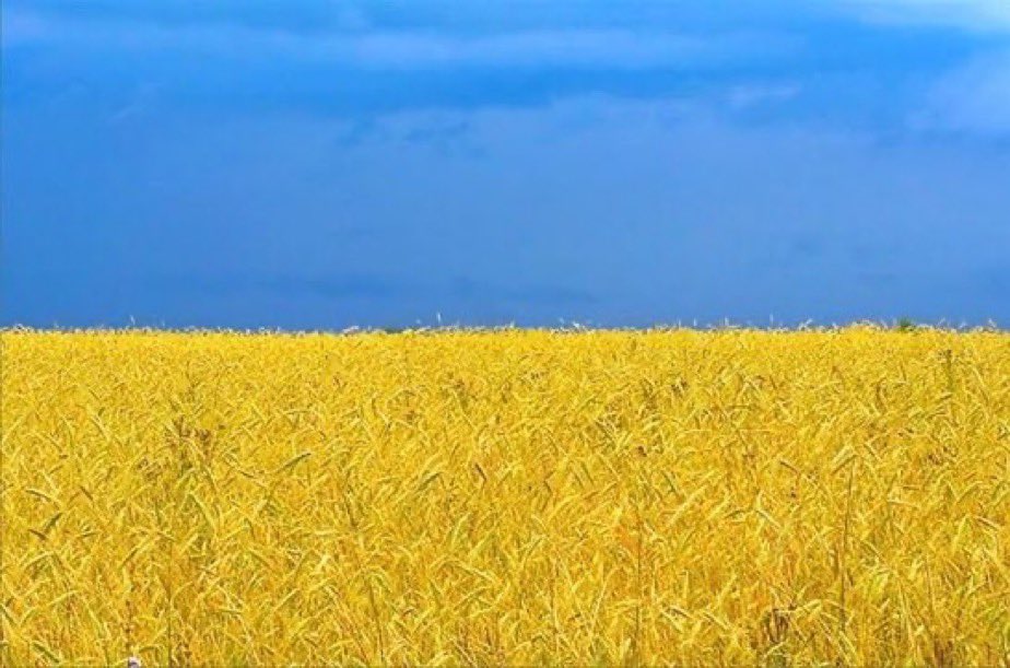 “There is no flag large enough to cover the shame of killing innocent people.” #stopwar #peace #WeStandWithUkraine <a href="/EPP/">EPP</a> <a href="/PopolariITA/">PopolariPerl'Italia</a>