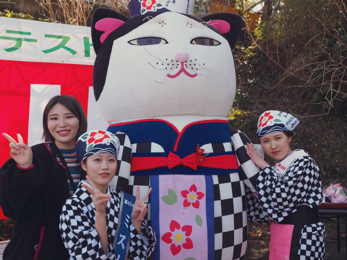 アンコ猫xミス大島ズxさわ📸

運営は写真が撮れなかったので(毎度毎度すいません)<a href="/FUNA84/">FUNA⚡︎</a> 様より殆どの写真を拝借してます‼︎ 

＠miss_oshima #伊豆大島 #猫 #椿の女王 #観光大使