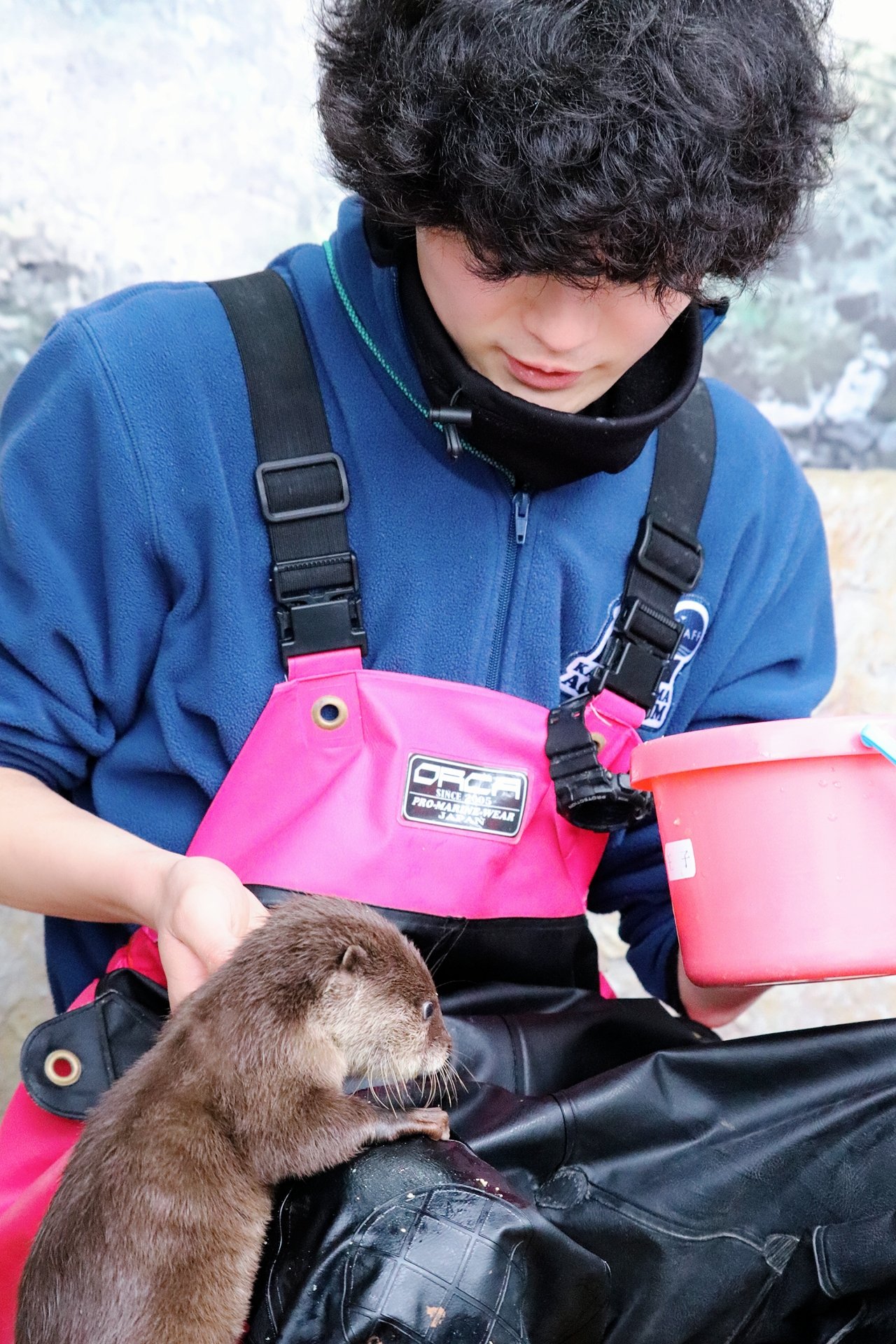 カープ婦人 Carpfujin14 Twitter