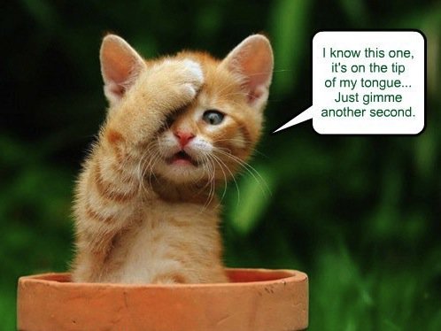 It's on the tip of my tongue..
Practice your vocabulary quite often .
brainworkingout.com