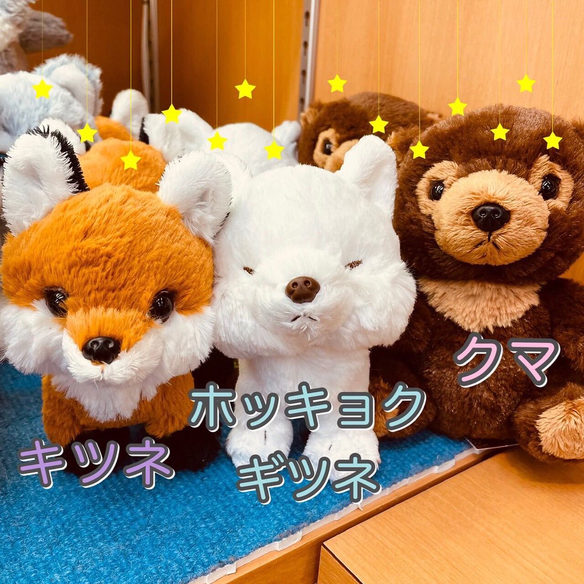 旭山動物園くらぶ on X: 