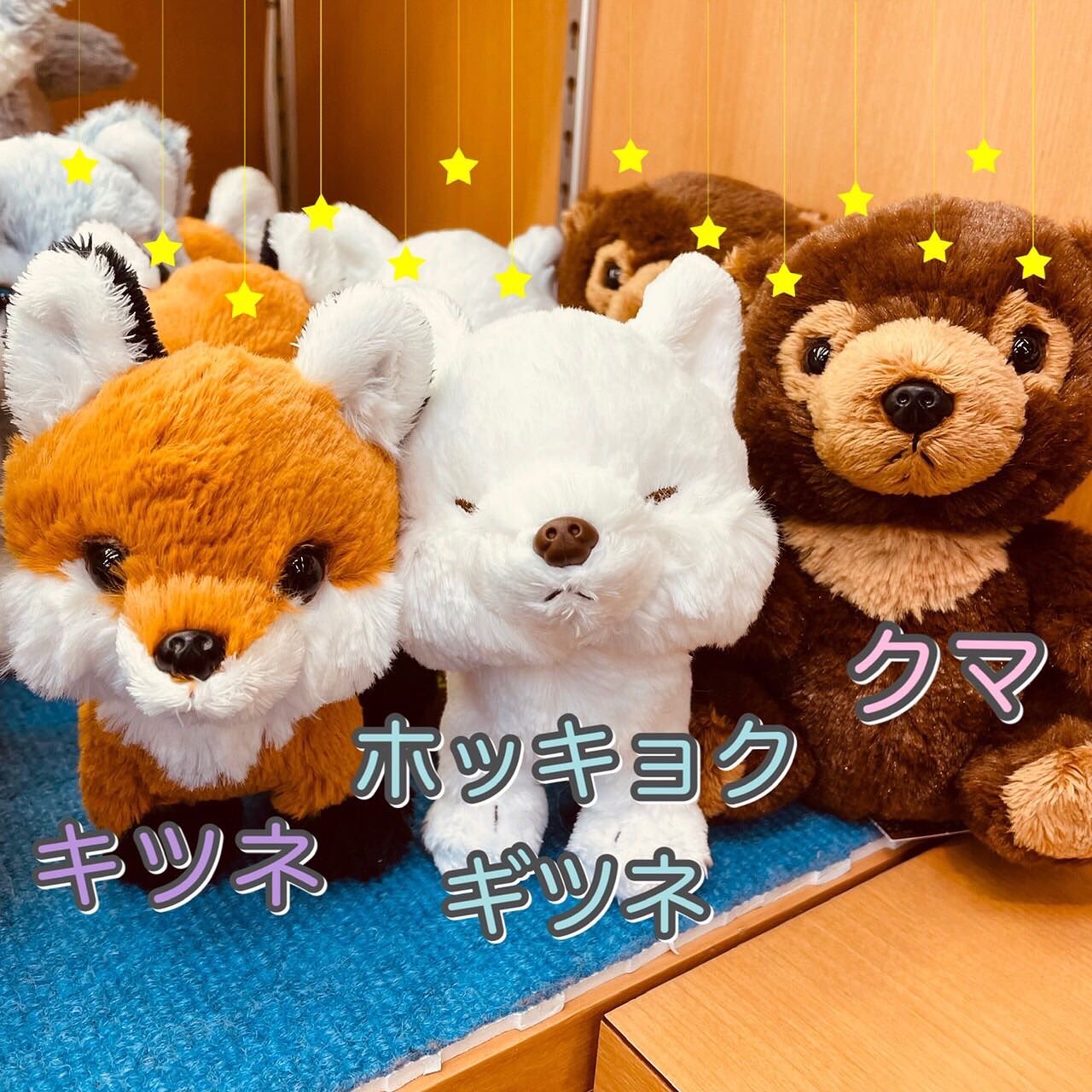 中古 ぬいぐるみ ライオンの赤ちゃん ぬいぐるみ 可愛らしかっ