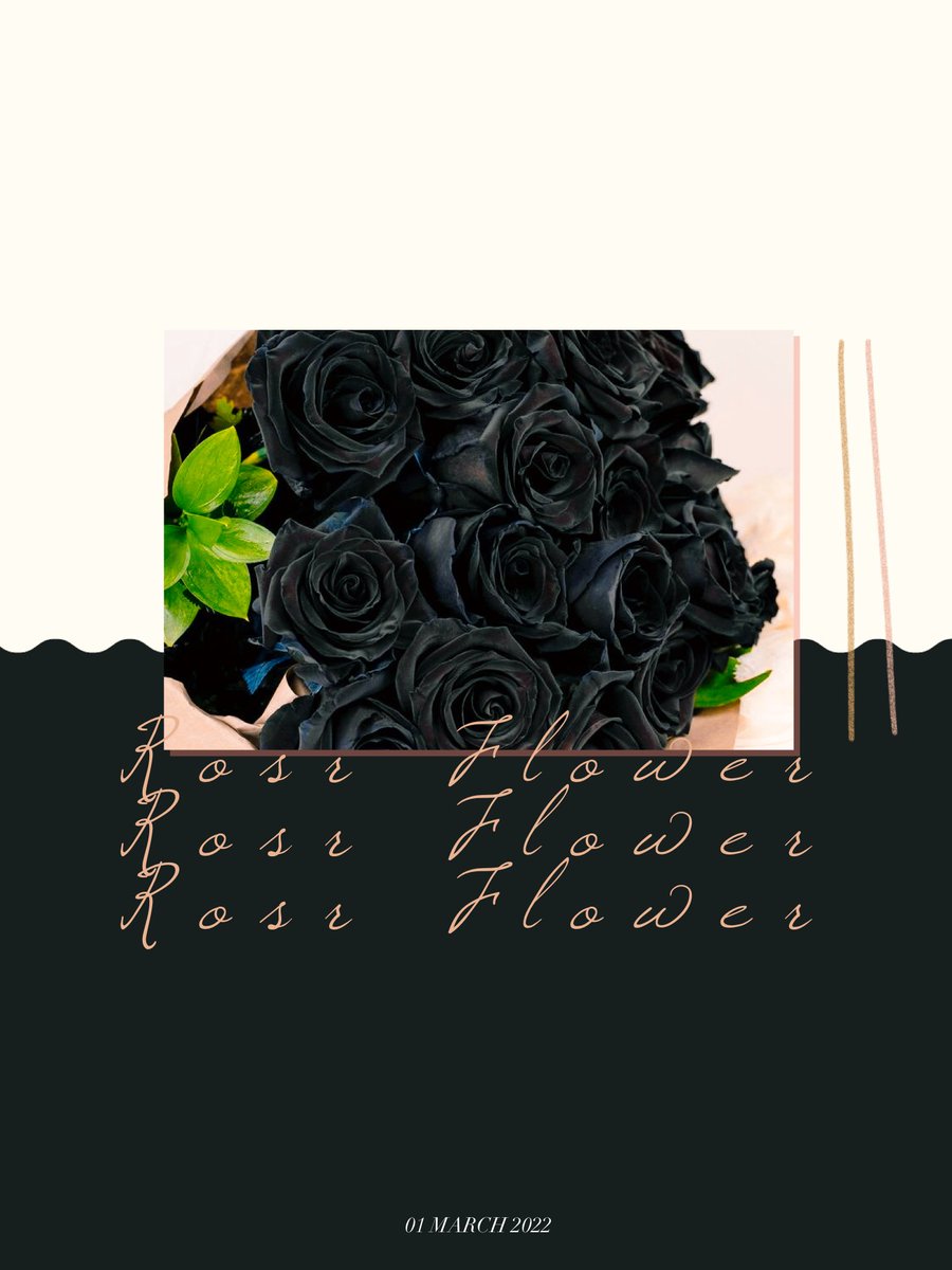 ⠀ ⠀ 

                          ˙ᘧ ͜ ˙

            📮: <a href="/huntildawn_/">𝕾𝐞𝐥𝐲𝐧𝐞.</a>  
             ✿ - - - - - - ✉️💐 𓂃꙳ ⋆
             𝗦𝖾𝗇𝖽𝗂𝗇𝗀 𝗒𝗈𝗎 𝖺 𝗳𝗹𝗼𝗿𝗮𝗹 𝗁𝗎𝗀♡
                       
                                          #𝗌𝗍𝗈𝗋𝗒𝗈𝖿𝖿𝗅𝗈𝗐𝖾𝗋 
ᅠ