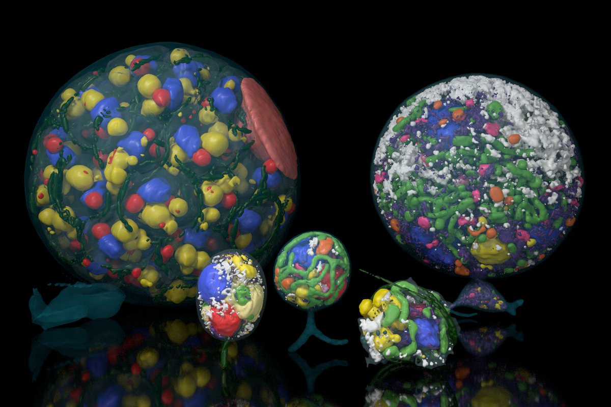 Michael Cunliffe 🏳️‍🌈 tweet media