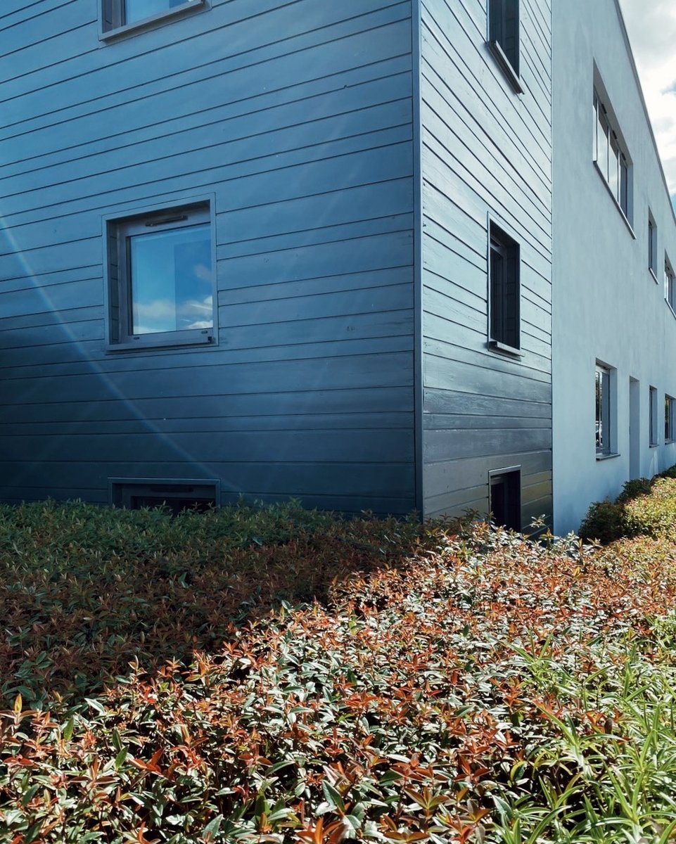 Autumnal colours 🍁