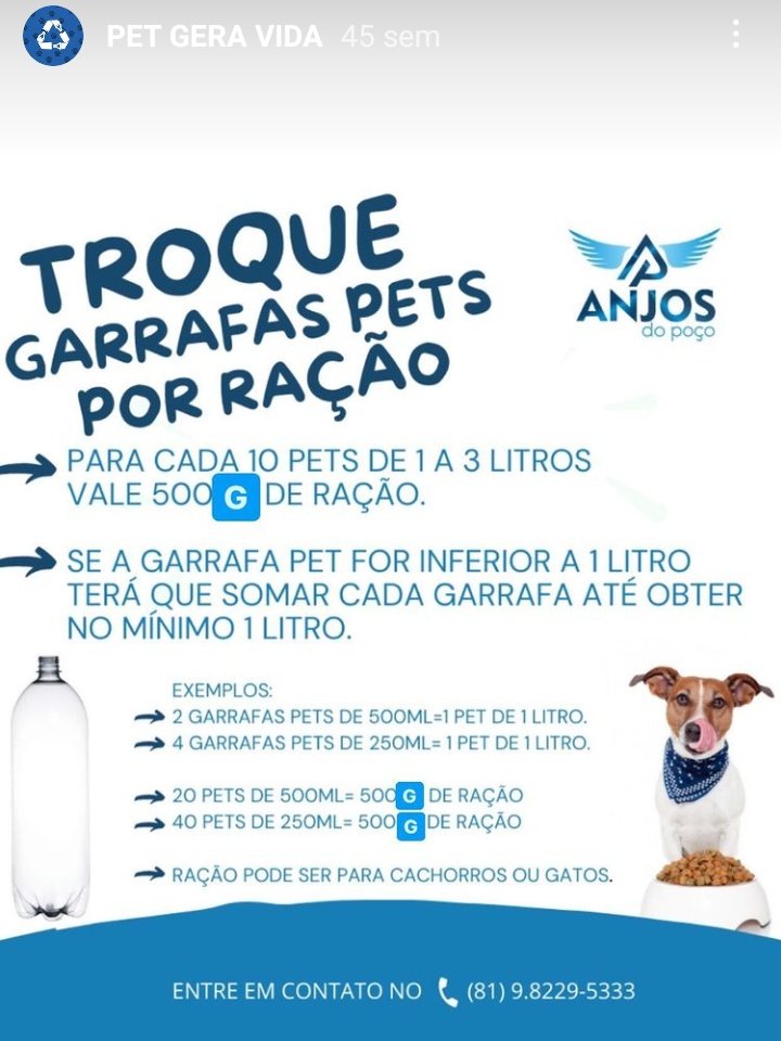Animais Recife 🐶🐱🐾 tweet media