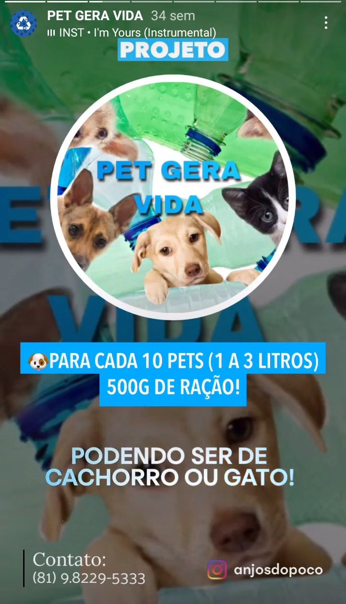 Animais Recife 🐶🐱🐾 tweet media