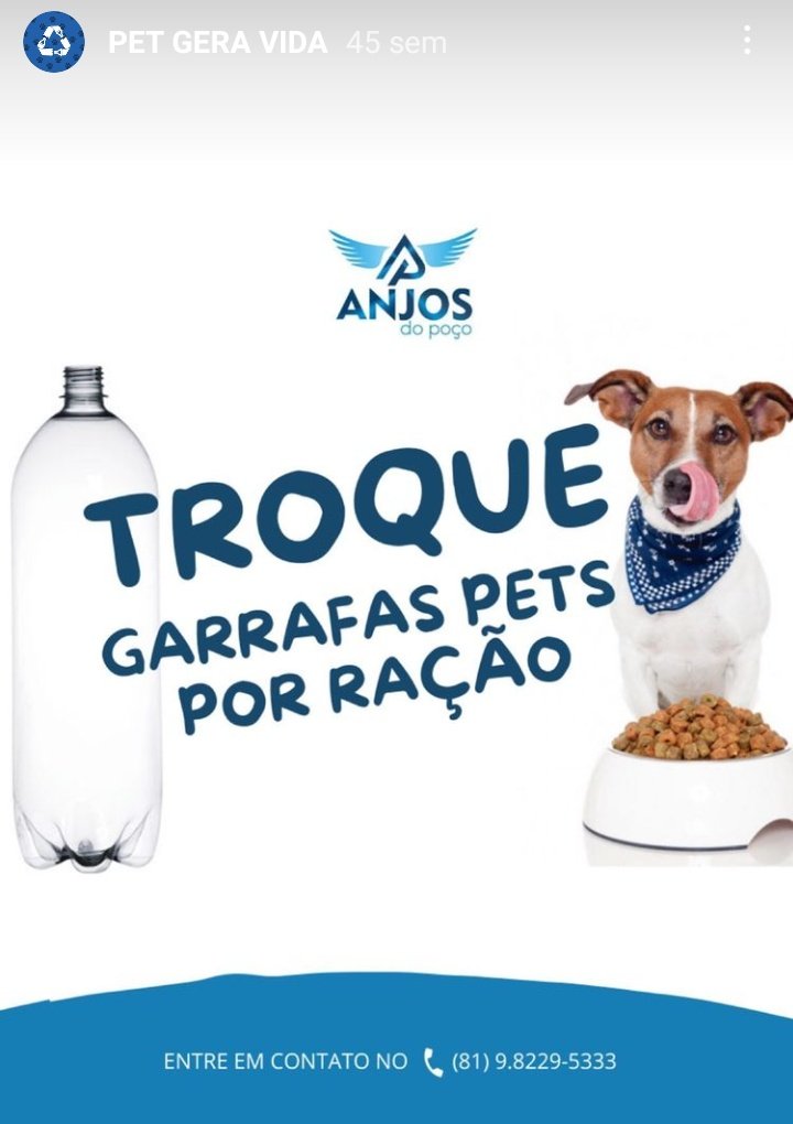 Animais Recife 🐶🐱🐾 tweet media