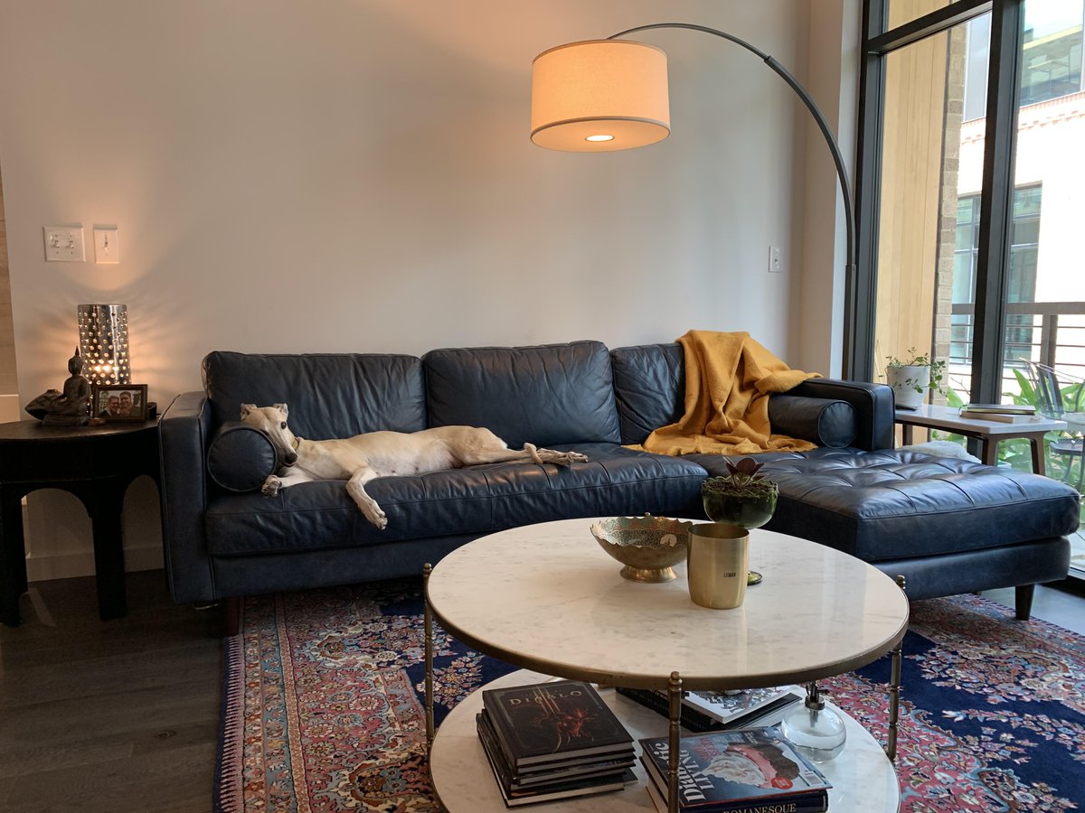 "New throw who dis"

Retweet if you think this is great!  #furniture #design #decor