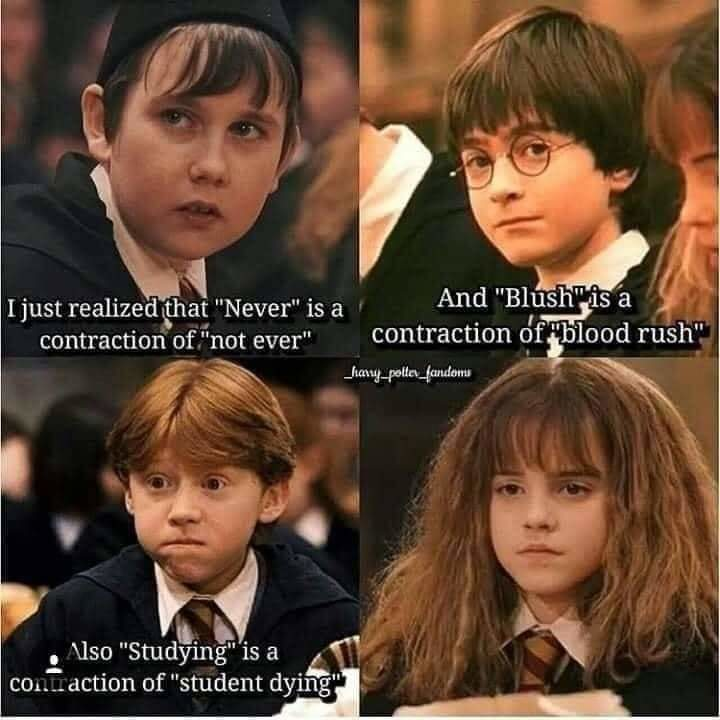 chadam_b's tweet photo. didn't realize this was from harry potter..... should i delete https://t.co/m0X37QqIXS