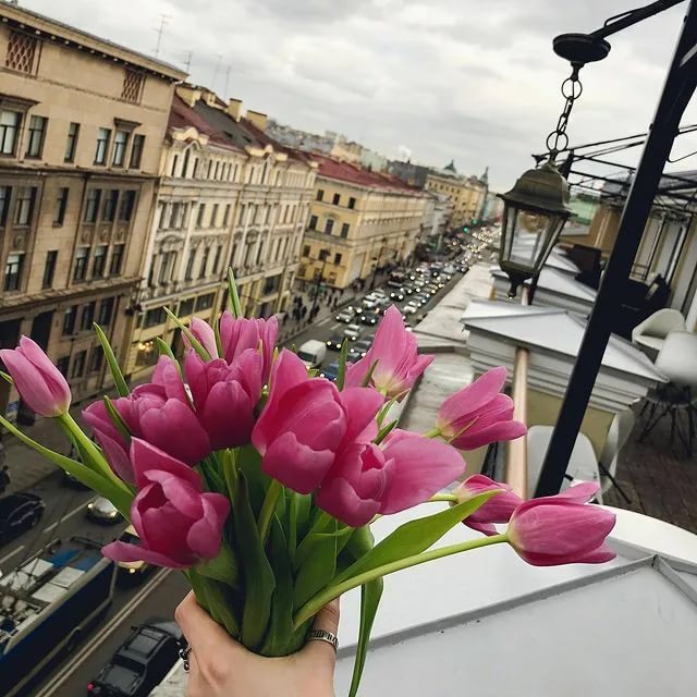 Наталья Н. tweet media