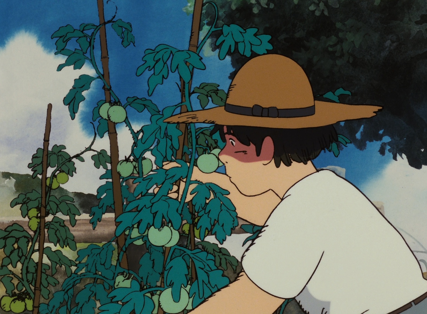 Studioghiblifanru Ghibli Ru Twitter