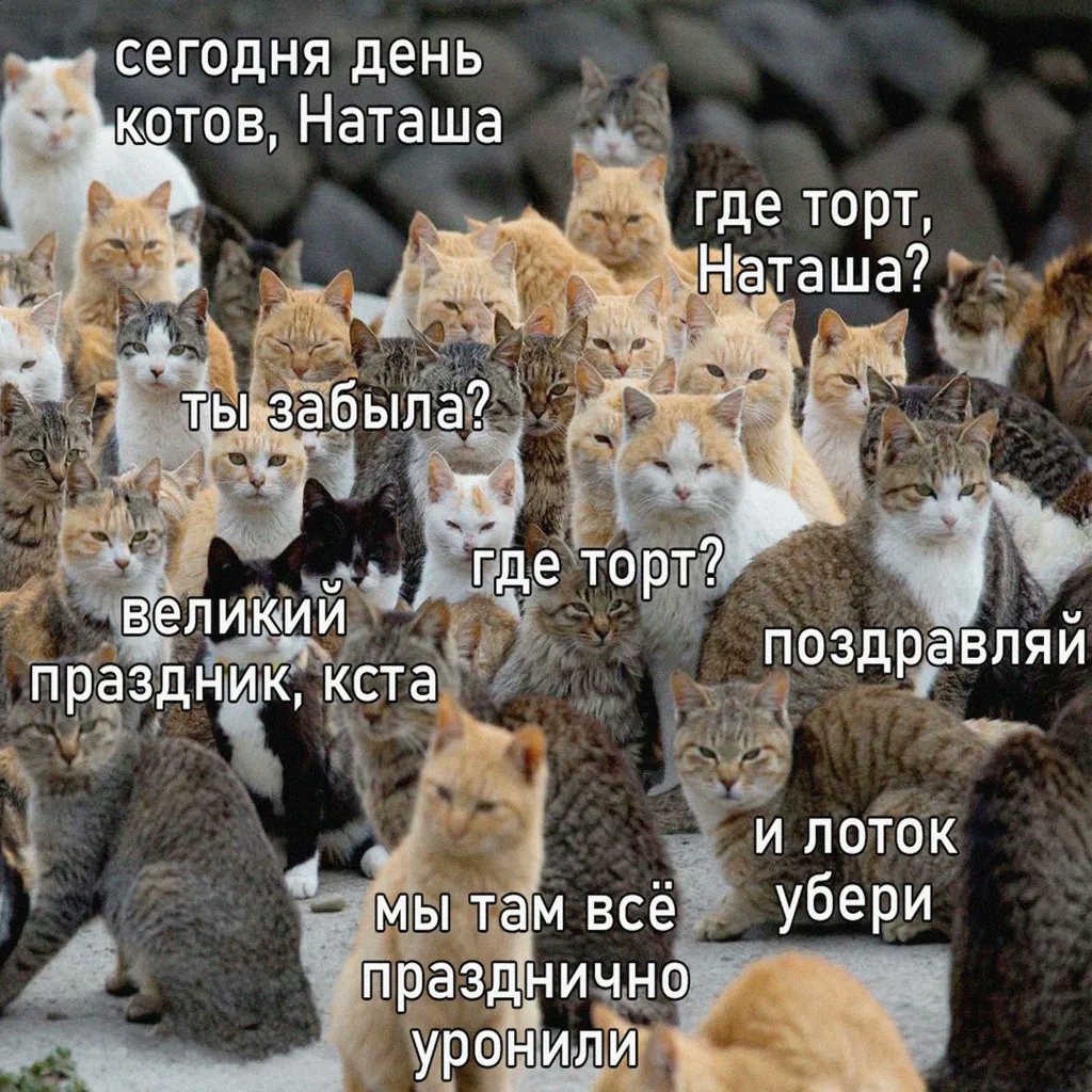 Пьяный Твиттер tweet media