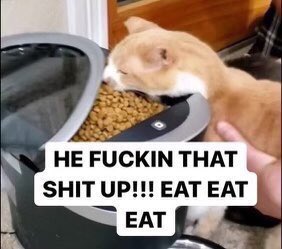 ToeSuck21 tweet picture