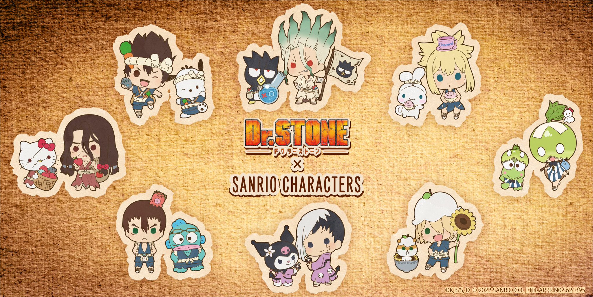Dr.STONE クリアファイル 等身 サンリオ Dr.STONE クリアファイル 等身 サンリオ Dr.STONE×サンリオ