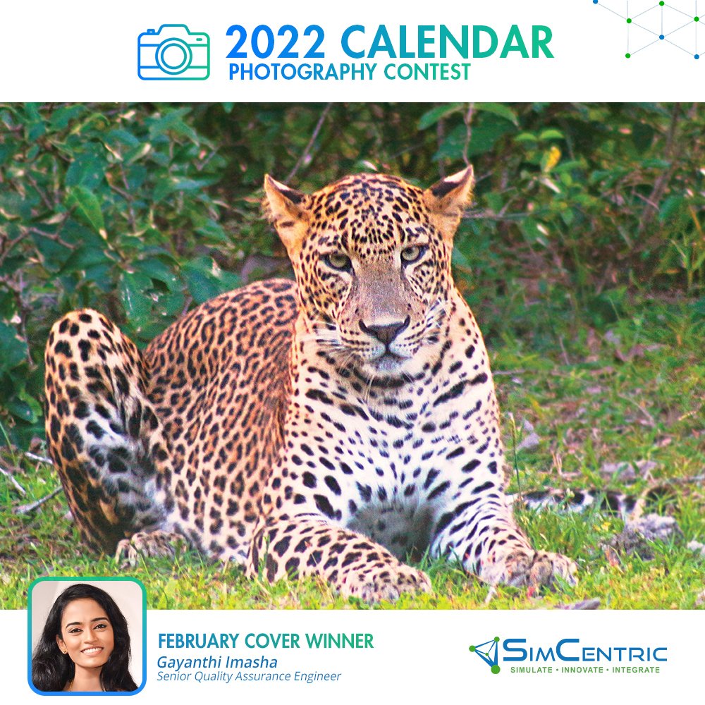 simcentricsl's tweet photo. Congratulations to our SimCentrian, Imasha Kankanamge!
Winner of our 2022 Calendar Photography Contest for the month of February. Thank you for sharing your stunning wildlife photograph with us!
#wildlife #leopard #srilanka #photography #staffphotographs #travel #simcentricsl https://t.co/cpYc6cP9UN