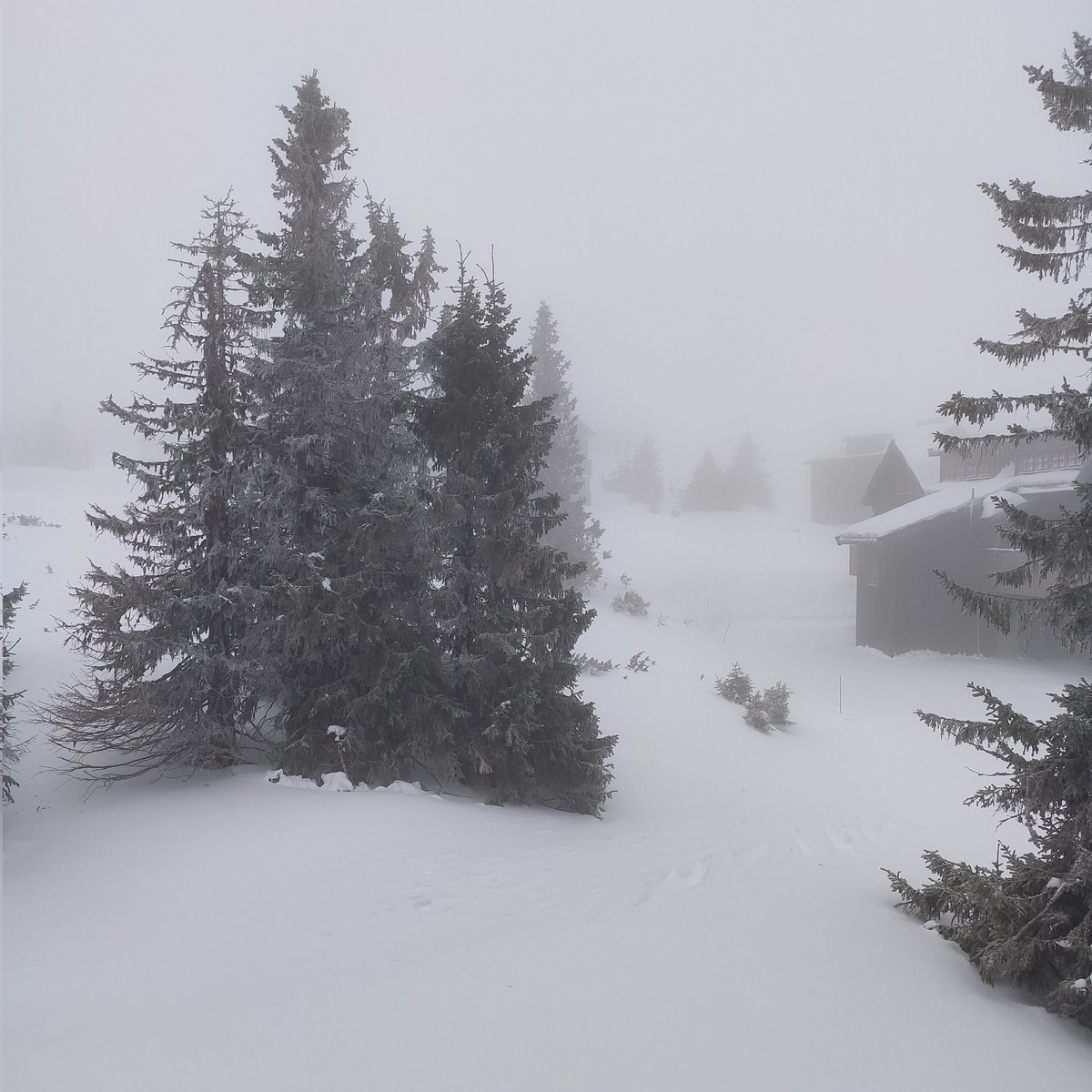 New amazing places, new amazing people in Ilsetra Hotel, for the Manifold and Geometric Integration Colloquia #MaGIC
<a href="/EtnThread/">THREAD_ETN 🇪🇺</a> <a href="/b_owren/">Owren</a> <a href="/martinastavole/">martinastavole</a> <a href="/CokajErgys/">Ergys Çokaj</a> @AndreaLtwit <a href="/dademurari/">Davide Murari</a>