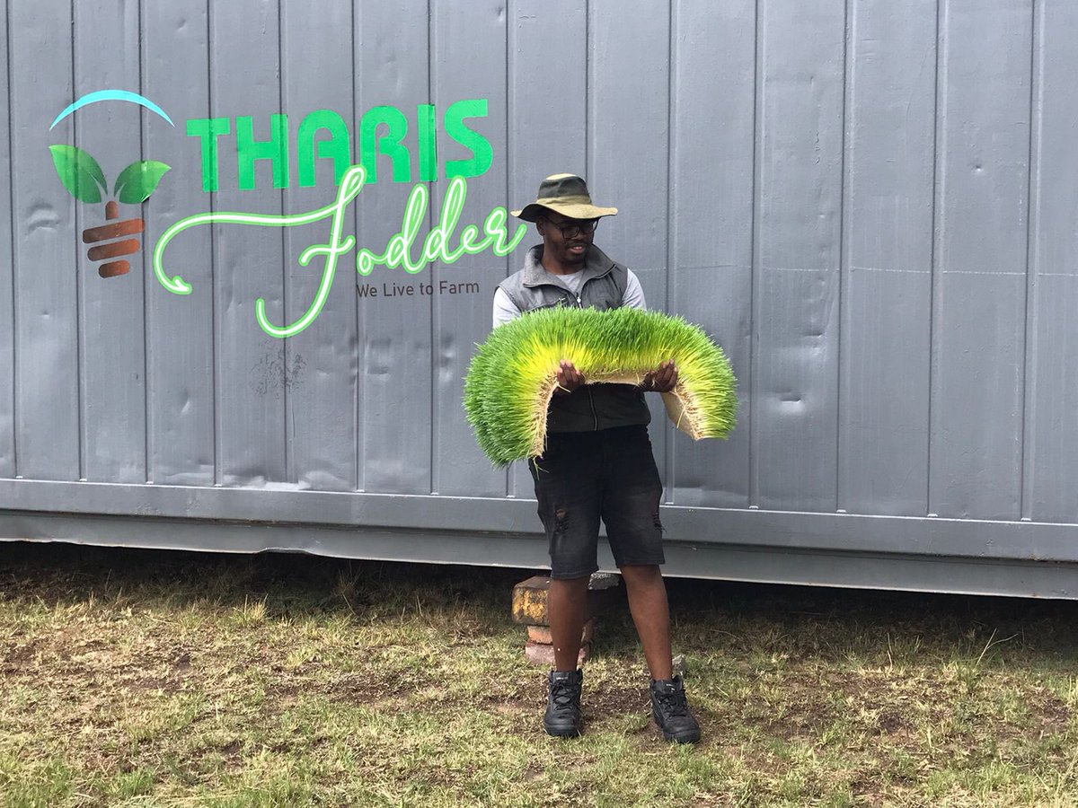 Mila Fresh Produce tweet media