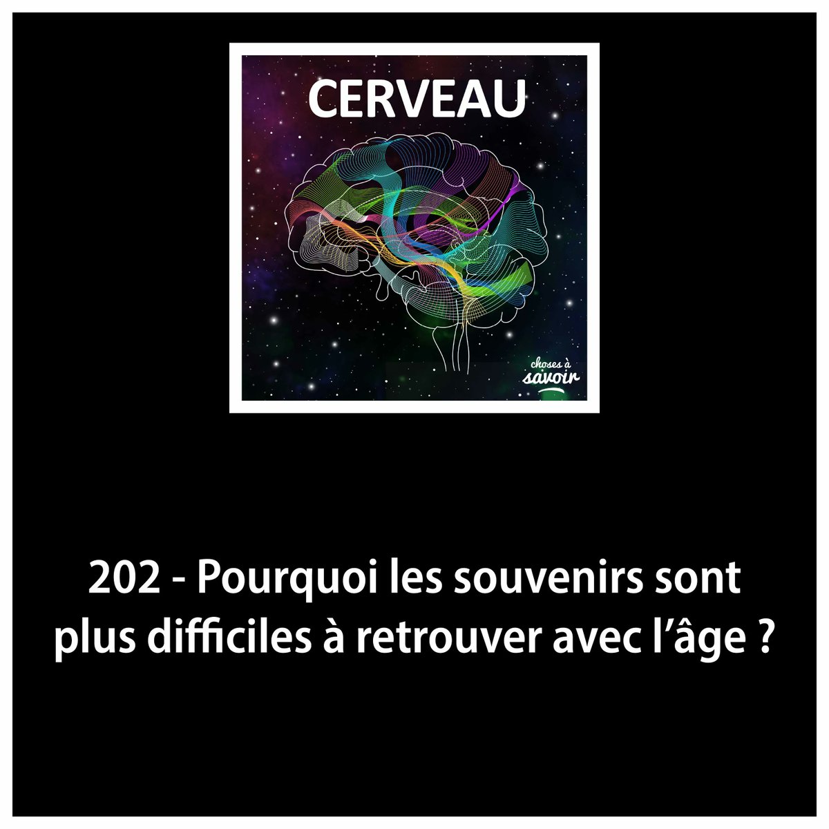 Christophe_Rodo's tweet image. Commencez la journée au mieux avec mes mots et la voix de Louis-Guillaume Kan-Lacas le temps d&apos;un nouvel épisode du #podcast #ChosesASavoirCERVEAU : podcasts.google.com/feed/aHR0cHM6L…

Un autre #podcast sur le #cerveau ?
#LaTêteDansLeCerveau : soundcloud.com/latetedanslece…