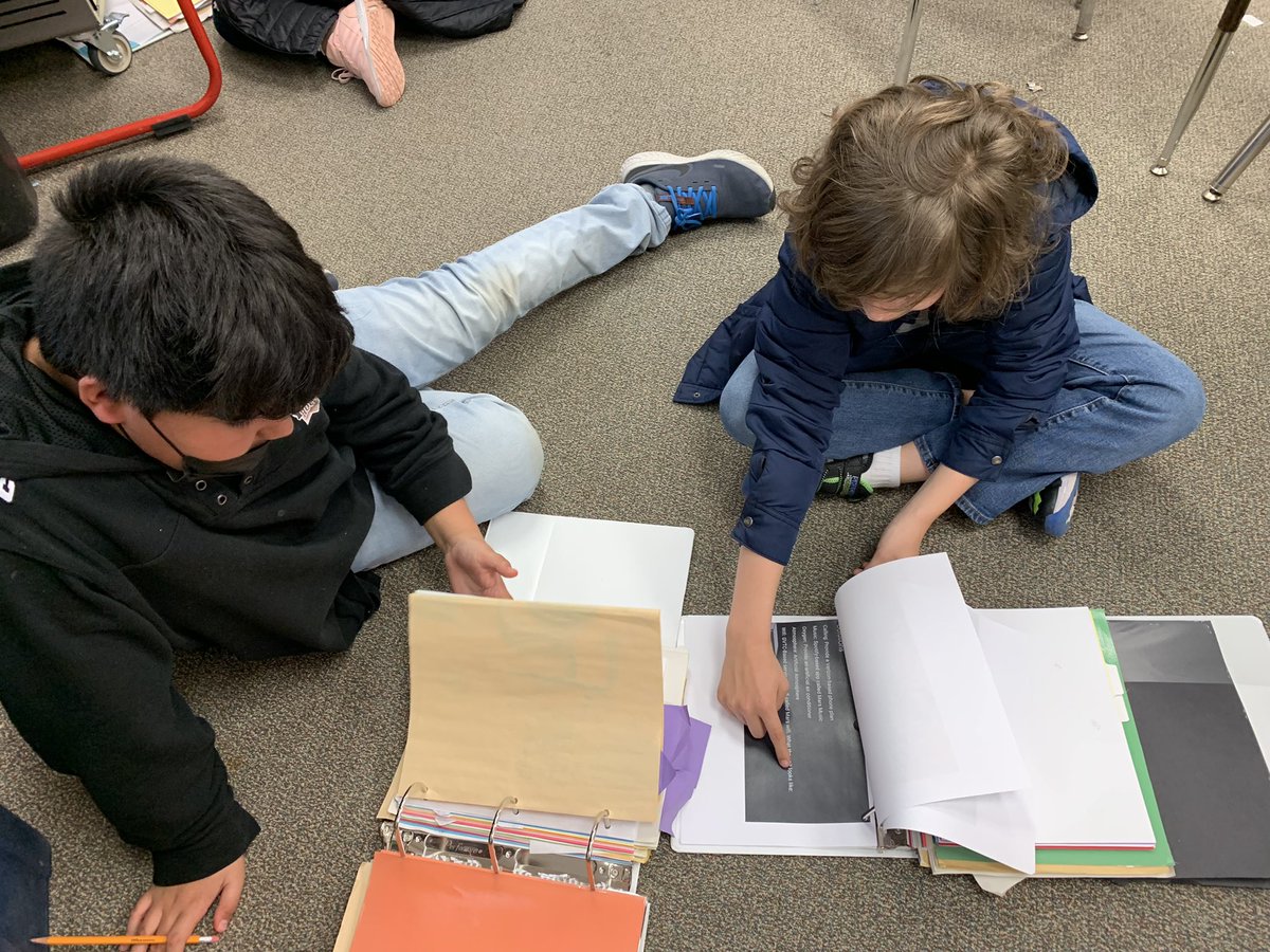 Lisa Jaye Williams tweet media