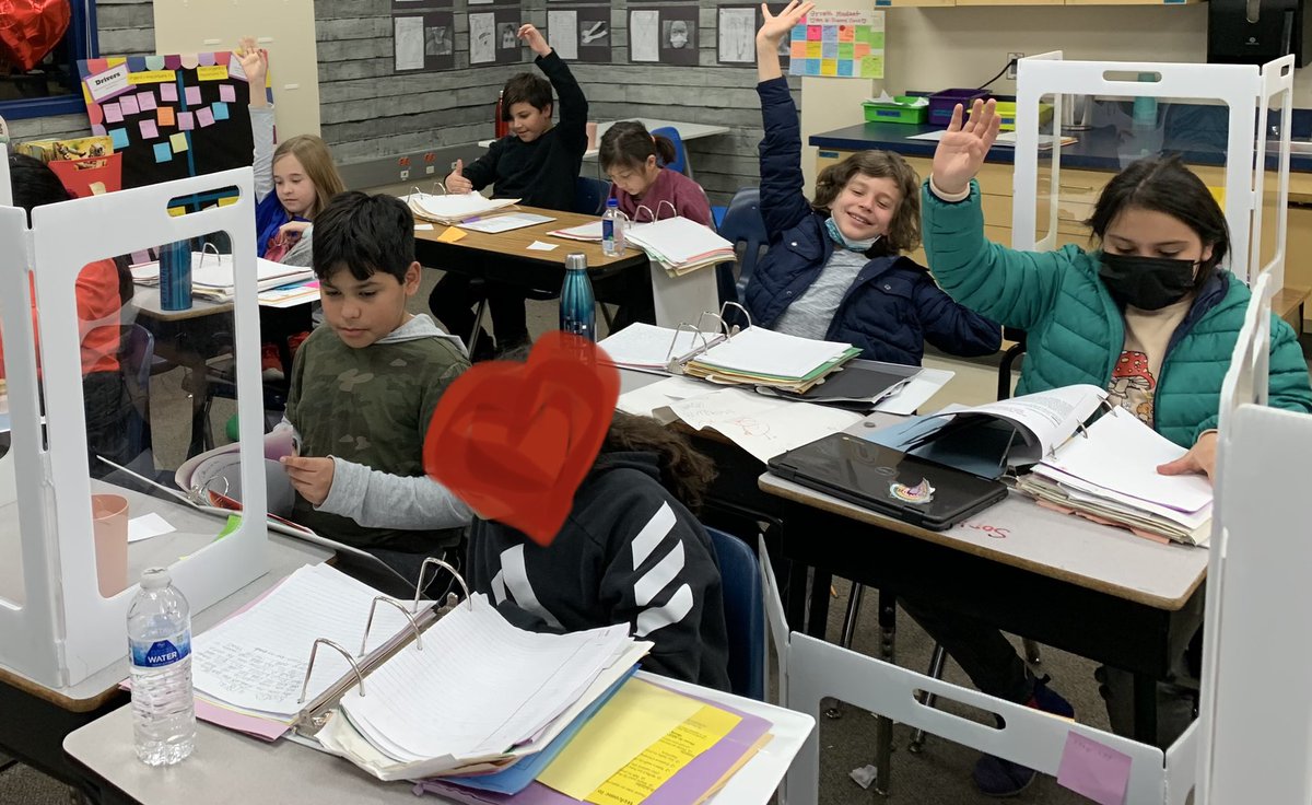 Lisa Jaye Williams tweet media