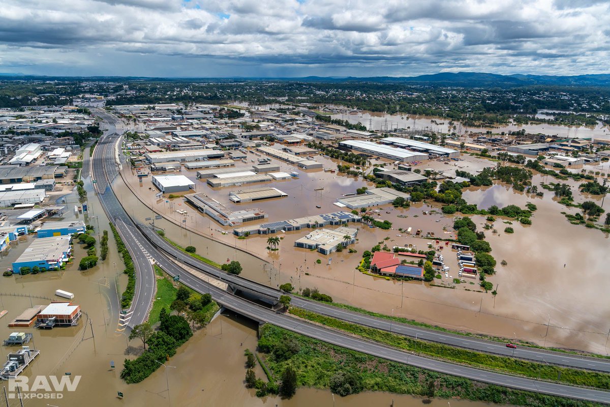 stark.ron tweet media