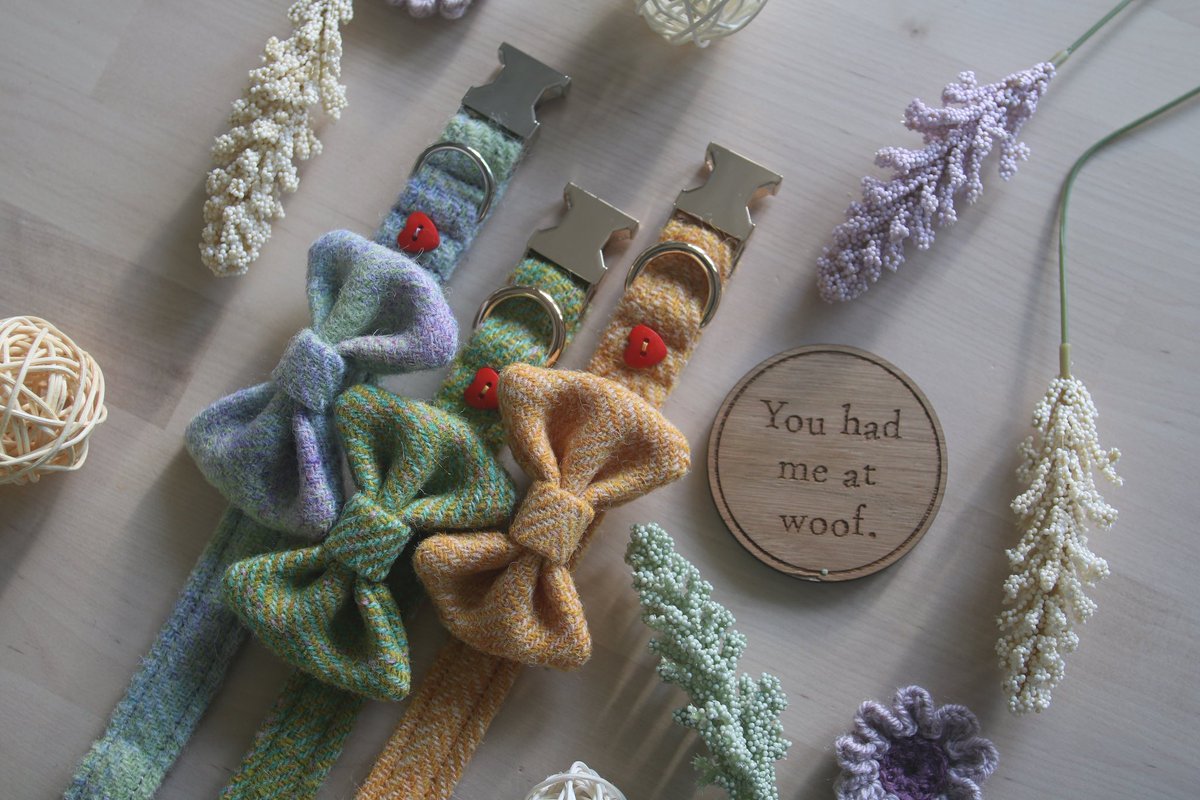 RnDPaws's tweet photo. Happy March 1st!

Spring is just around the corner and these tweeds are just the perfect tones 😍

What do you think?
#dogsoftwitter #handmade #rndpaws #DogTwitter #dogtwittercommunity #doglovers #SmallBusiness #Scotland #harristweed #doglovers https://t.co/K8Gy4CFCCr